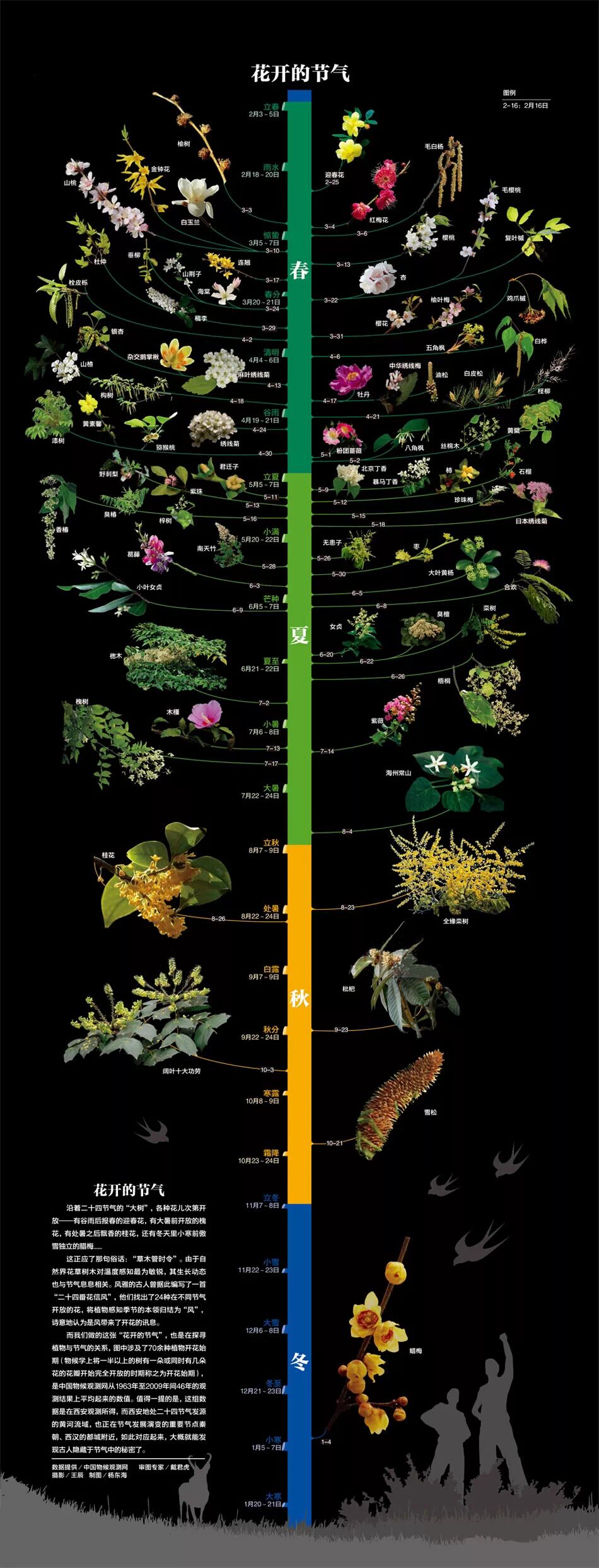 各种花开的节气